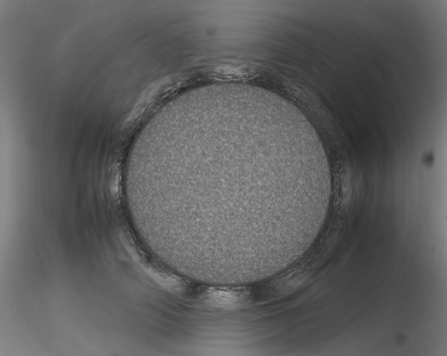 X0000116120706201001040950