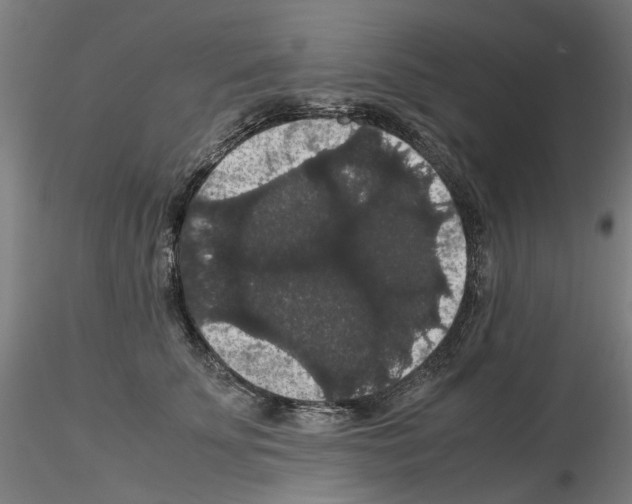 X0000116120707201001040950