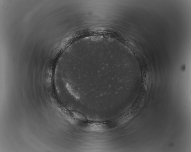 X0000116120708201001040950