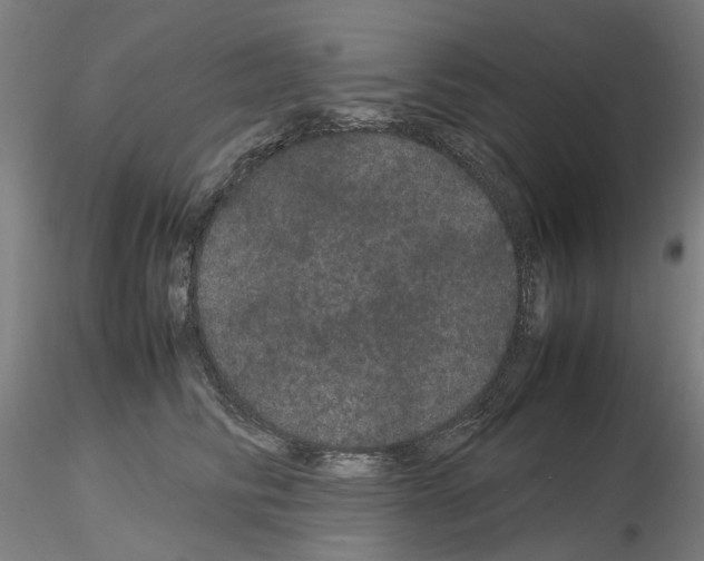 X0000116120710201001040950