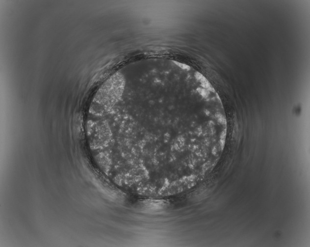 X0000116120711201001040950