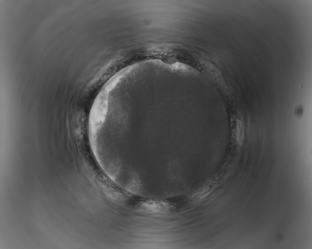 X0000116120712201001040950