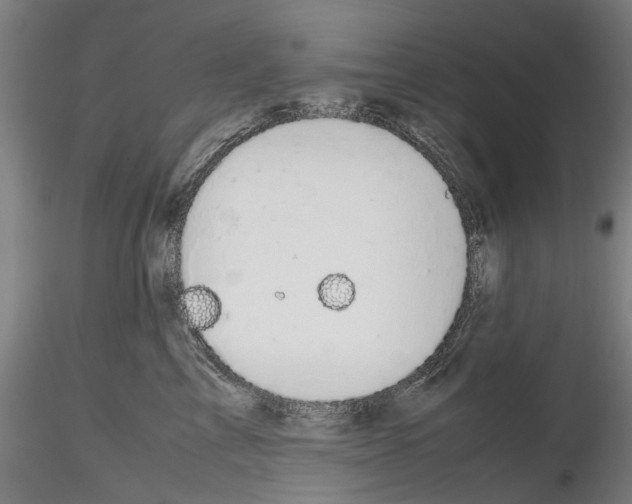 X0000116120713201001040950