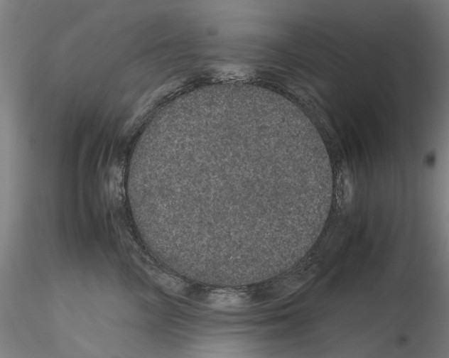 X0000116120714201001040950