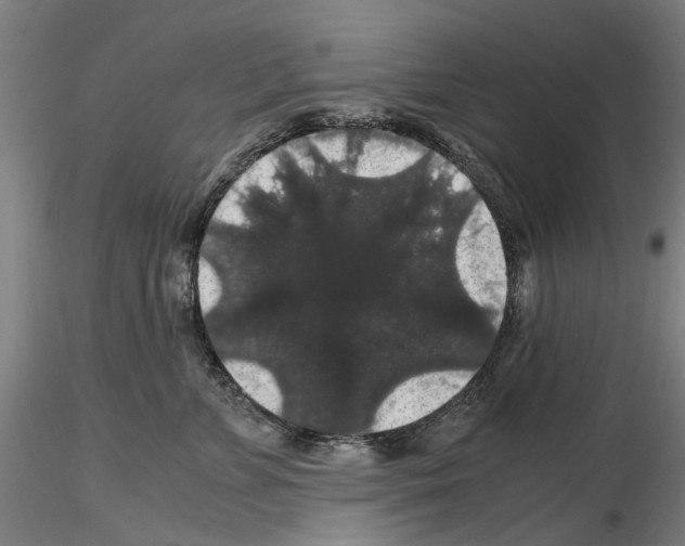 X0000116120715201001040950