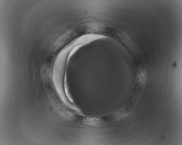 X0000116120716201001040950