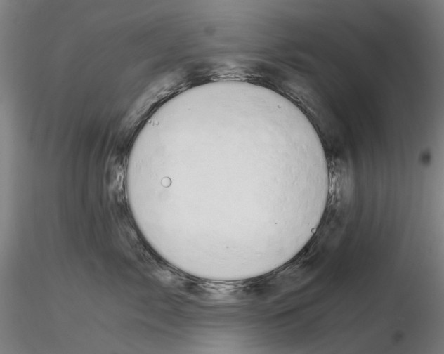 X0000116120717201001040950