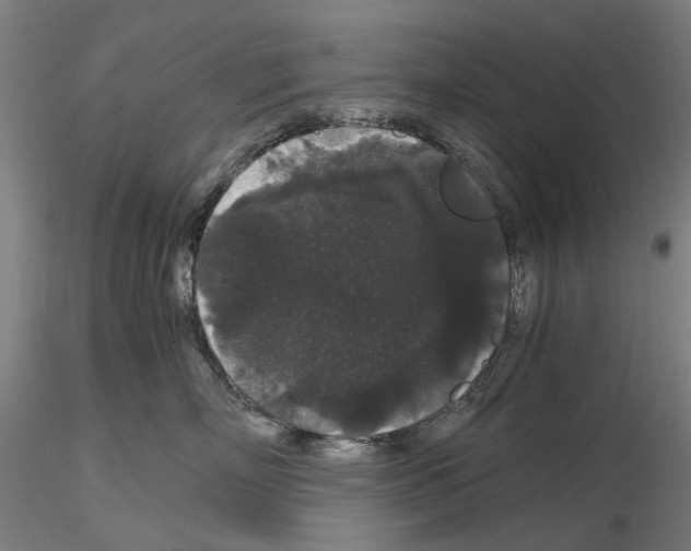 X0000116120718201001040950