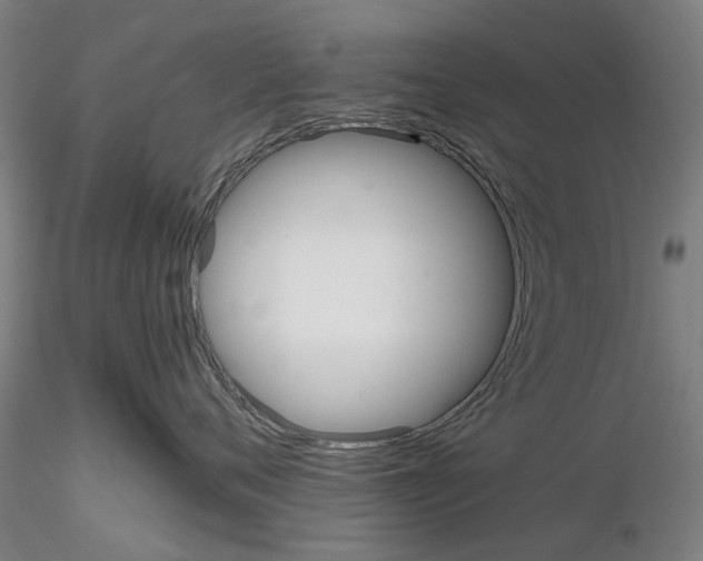 X0000116120720201001040950