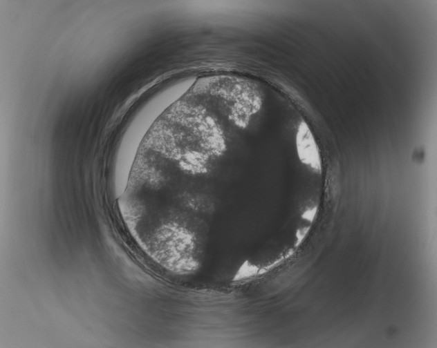 X0000116120722201001040950