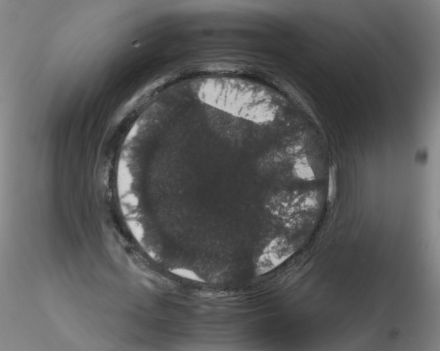 X0000116120723201001040950