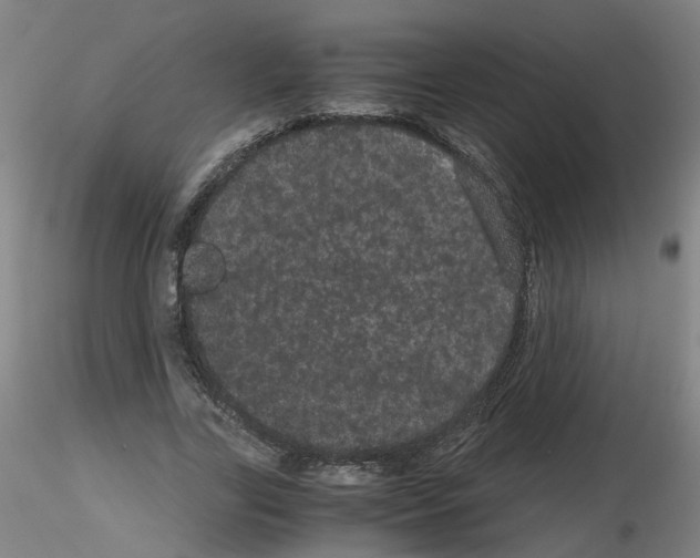 X0000116120731201001040950