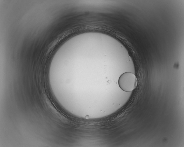 X0000116120734201001040950