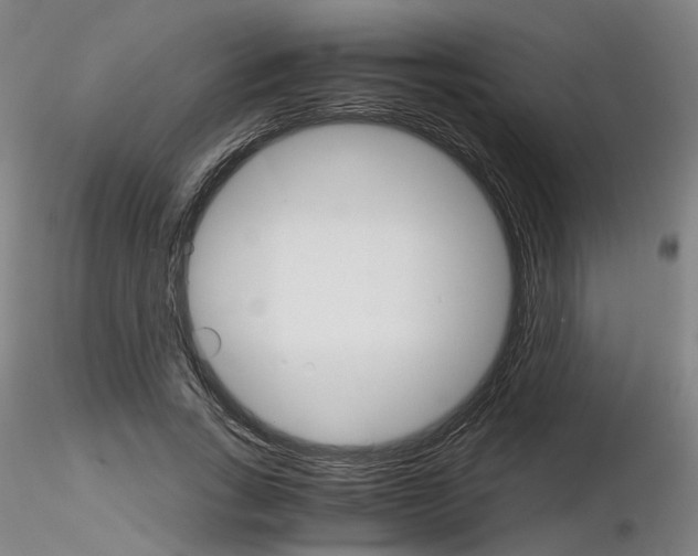 X0000116120735201001040950