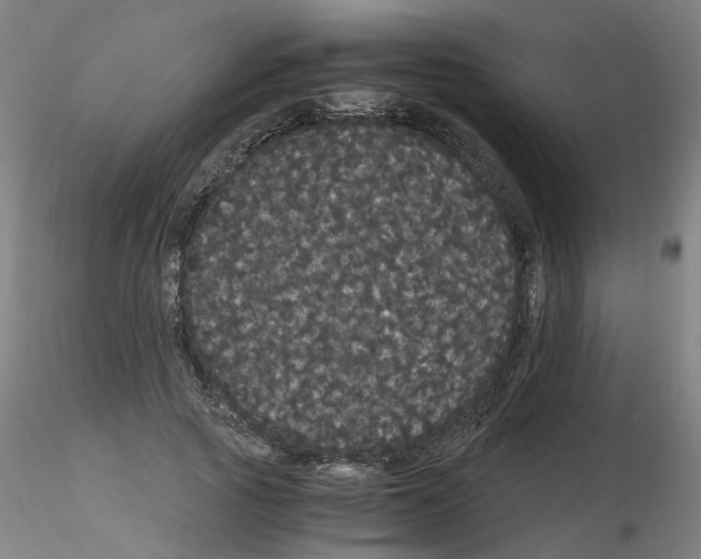 X0000116120737201001040950