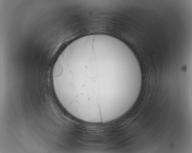 X0000116120739201001040950