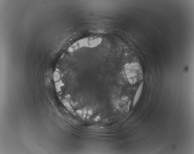 X0000116120747201001040950