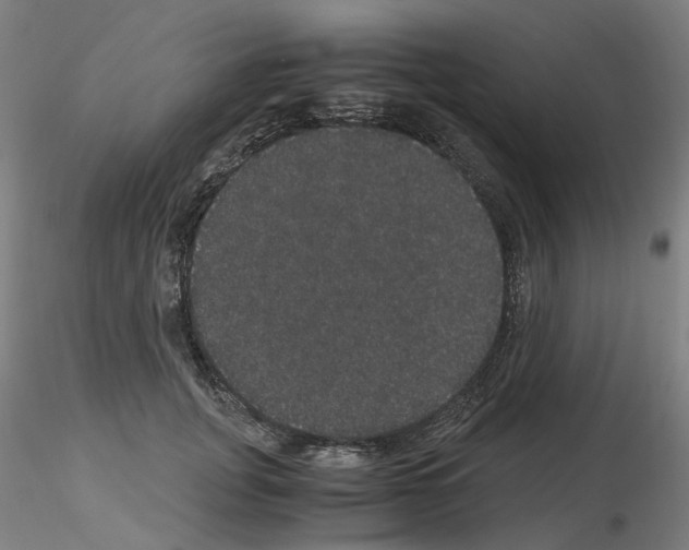 X0000116120751201001040950