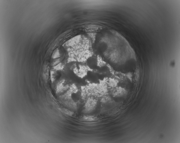 X0000116120753201001040950