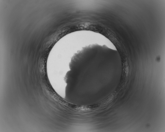 X0000116120754201001040950