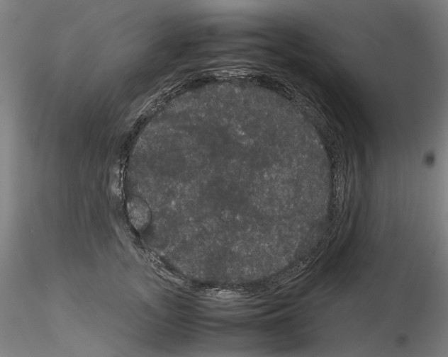X0000116120755201001040950
