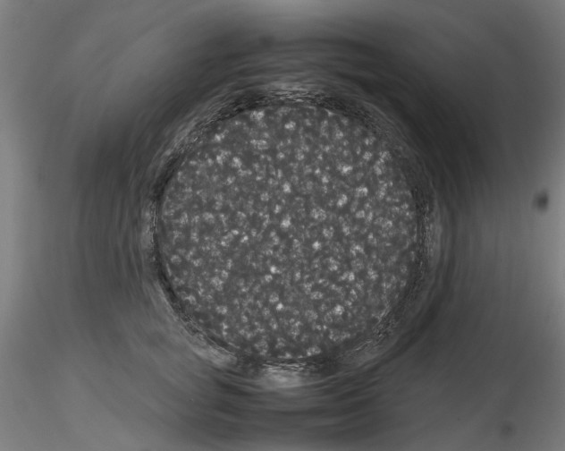 X0000116120757201001040950