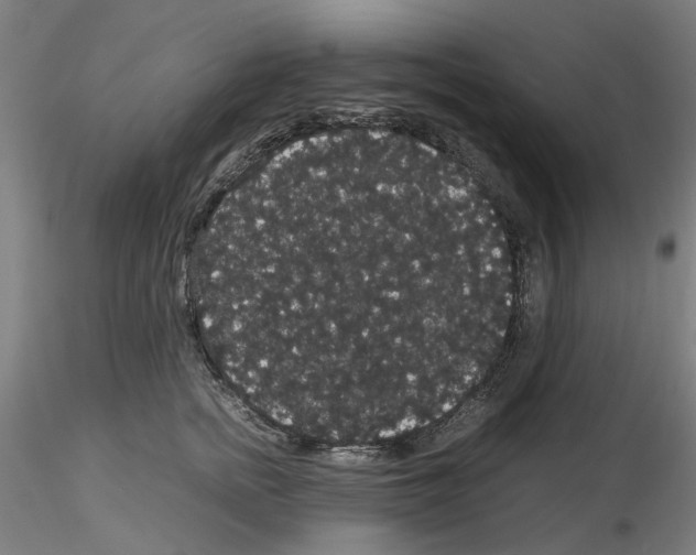 X0000116120758201001040950