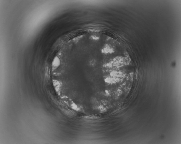X0000116120763201001040950