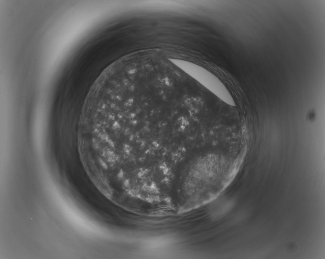 X0000116120765201001040950