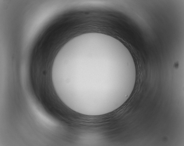 X0000116120766201001040950