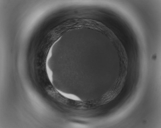 X0000116120767201001040950