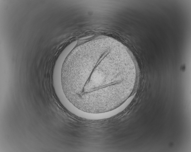X0000116120769201001040949