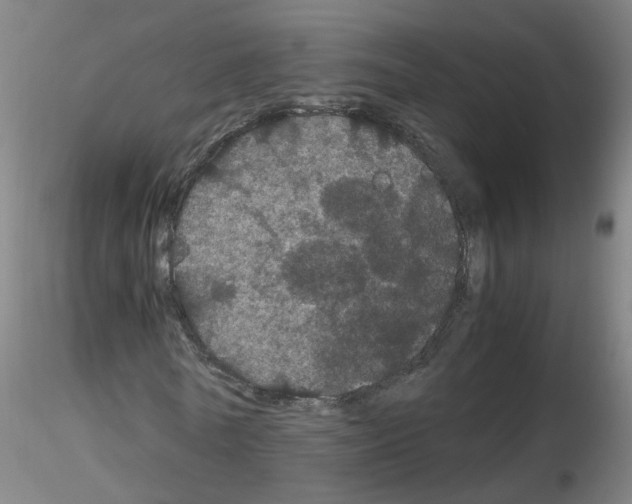 X0000116120770201001040949