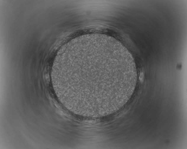 X0000116120771201001040949