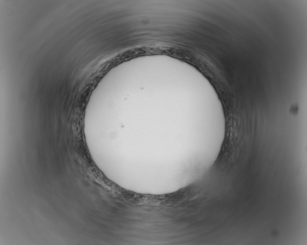 X0000116120773201001040949