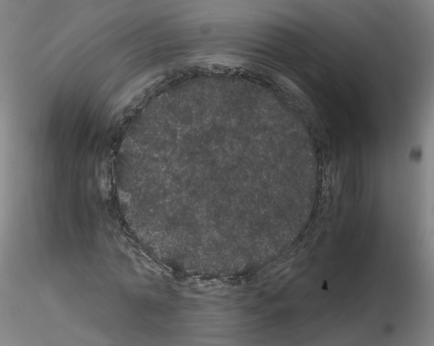 X0000116120774201001040949