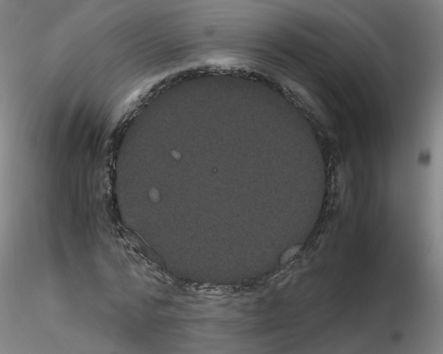 X0000116120776201001040949