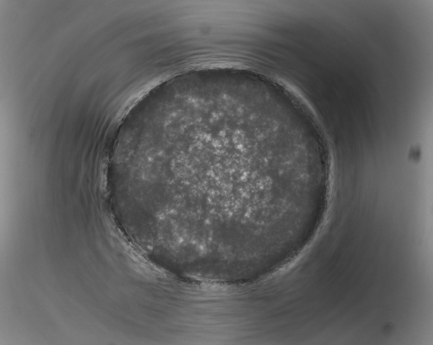 X0000116120777201001040949