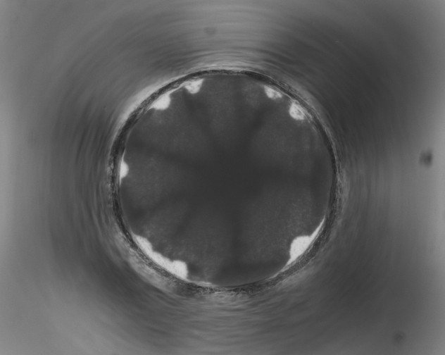 X0000116120779201001040949