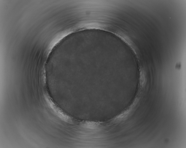 X0000116120782201001040949