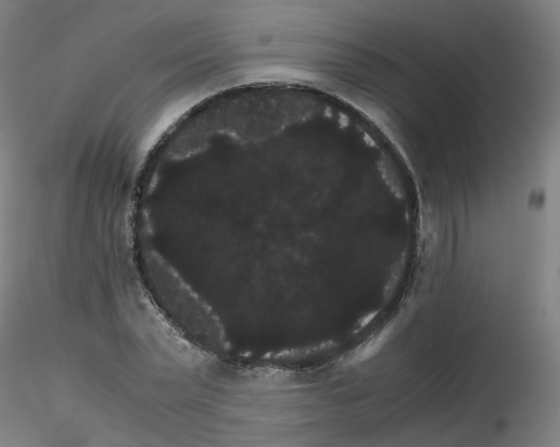 X0000116120783201001040949