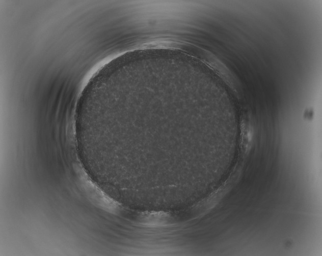 X0000116120784201001040949