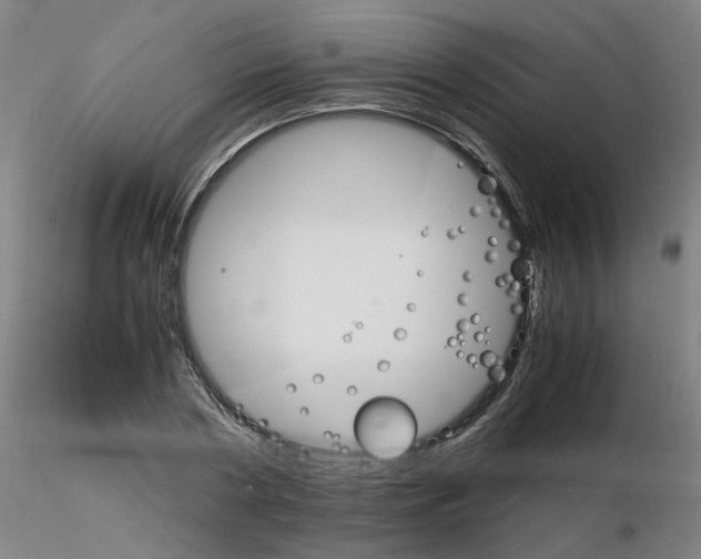 X0000116120786201001040949