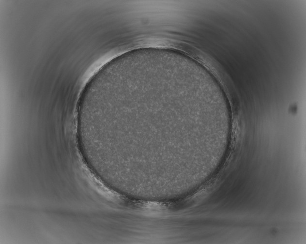 X0000116120787201001040949