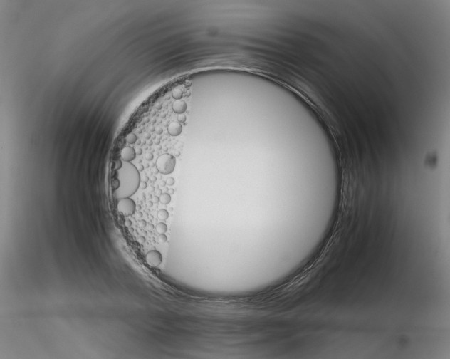 X0000116120788201001040949