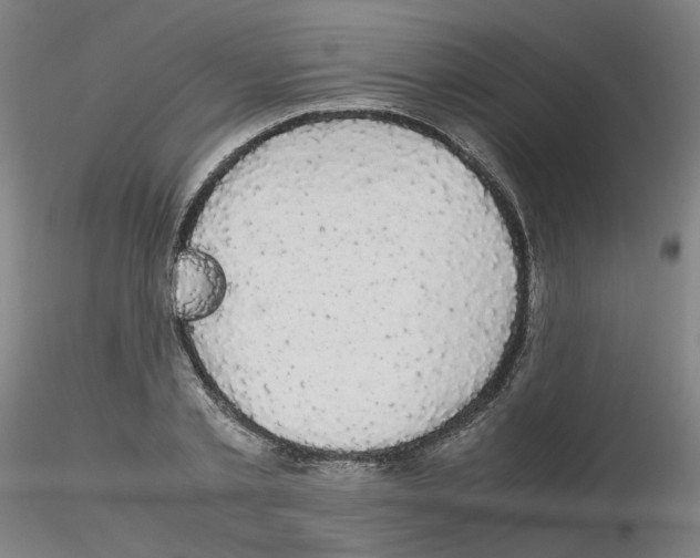 X0000116120789201001040949