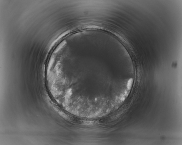 X0000116120790201001040949