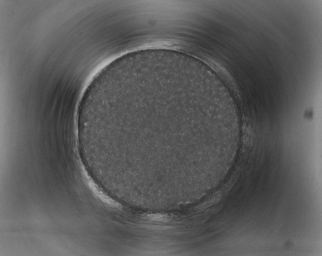 X0000116120792201001040949