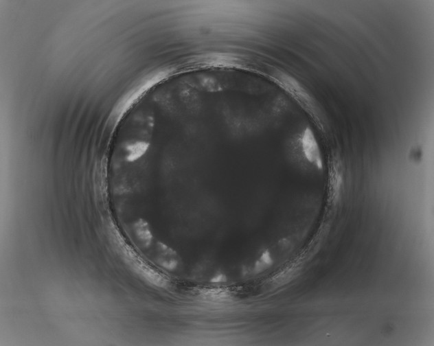 X0000116120798201001040949