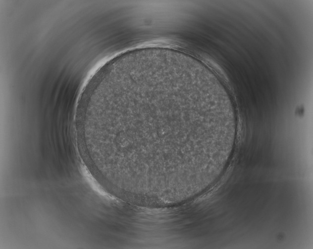 X0000116120800201001040949
